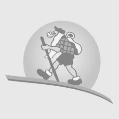 Petzl ROCHER MIXTE PITON