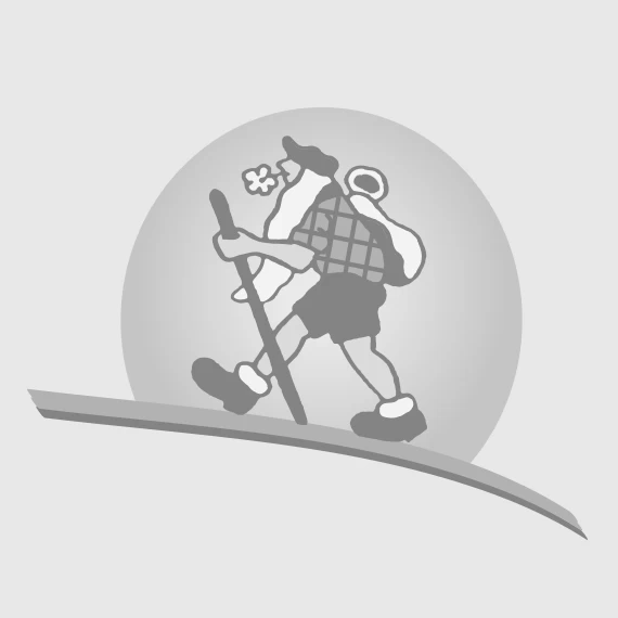 Petzl ASCENSION POIGNEE