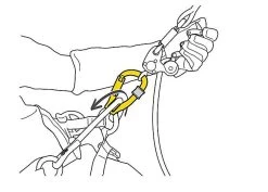 Petzl ROLLCLIP Z SCREW LOCK POULIE MOUSQUETON